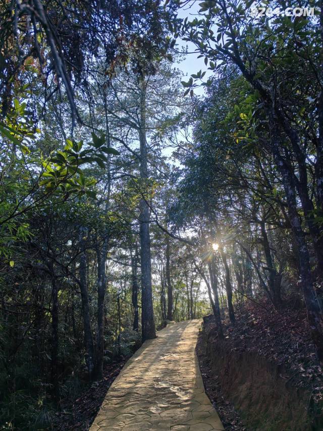 çɽ羰ӳվ೵çɽ羰ţƱ38ԪգΪֱվͣȫҪСʱƱ80Ԫڶɳ52ԪЧرעڶɳֻһξȥͬһٸ52ԪҵʱƱûע⿴ʱȥ̨ɽʲôҲڶȥʱֽһΰڶǮ:կžɲڶɳկ̨ɽ絽ģڶɳȥկԼʮ๫ʮӵ㡣կҪʱͽߣҲǴֱ̨ϣһ·ǲ·ߵȻźһ·̨׾͵ٲ㣬ʯһ·صͣ㣬ȫ̲СʱҪ˳ʱߣߵٲһ·̨ףֶֶࡣȻڶɳȥկ³Ȼݣ˳ŲݺĲ·һ·ϵկļٲۣ߻ͷ·ɽ͵ˣȫҲһСʱ ڶ죬˵İڶɳֱ̨ɽ㿴ƺ̨ɽݵֱɽ̨ףСʱ͵ˣûҪݣȻֱϵһչ̨ƺҪȥָĻҪԭ·ص˳Ź·ߵС̨͵ƱƱ150Ԫջߵָ۾̨·صƱ±ջǻزţֱߵû·ˡҲߵջĦݴٳݷصС̨ƱȻµ̨ɽͣؾţçɽݵĴͣ೵ʮַ