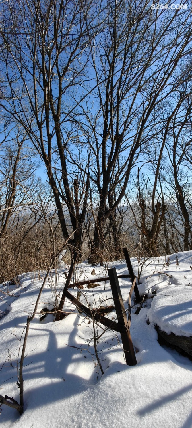 IMG_20241207_111056.jpg