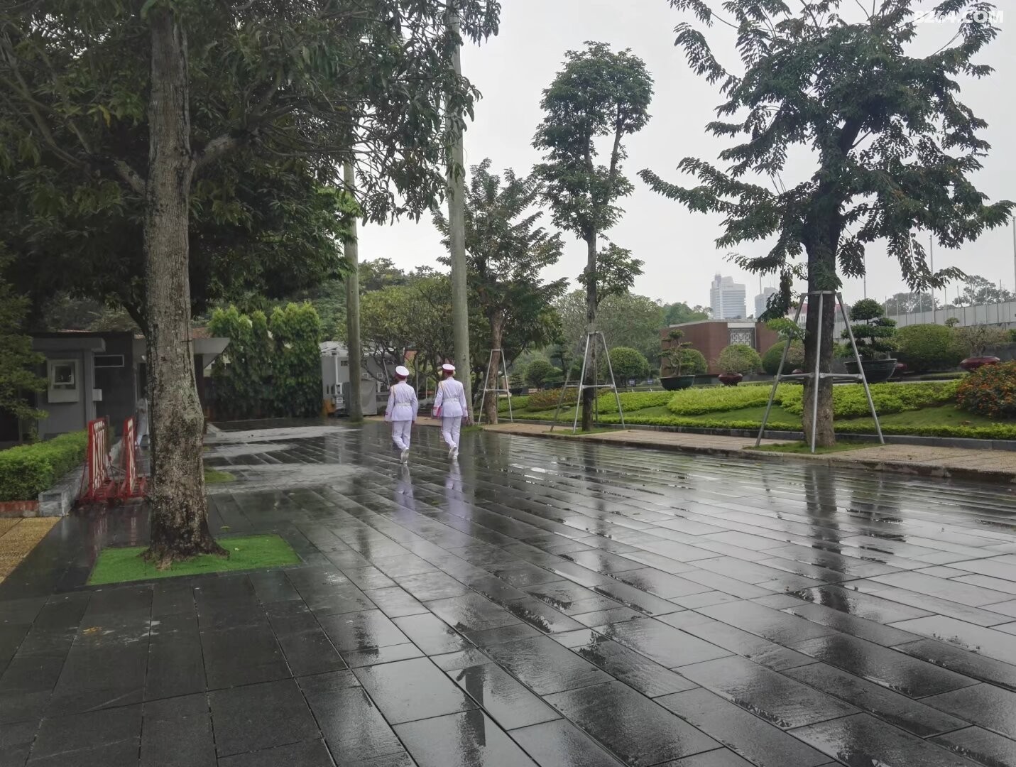 psb - 2024-12-19T185944.826.jpg