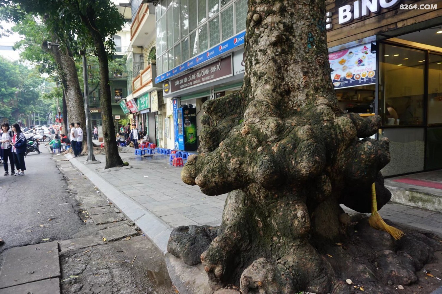 psb - 2024-12-19T191404.590.jpg