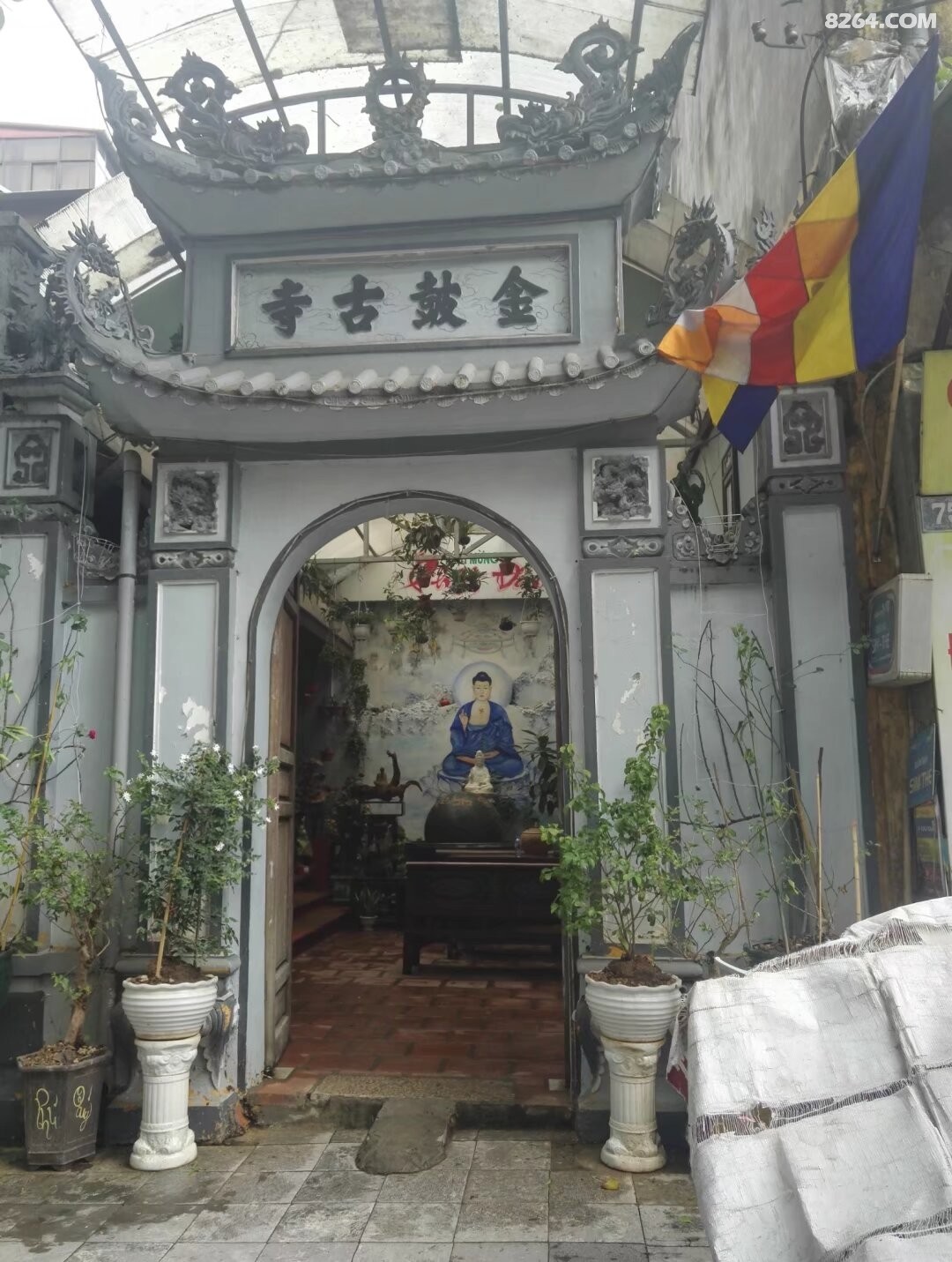 psb - 2024-12-19T193305.815.jpg