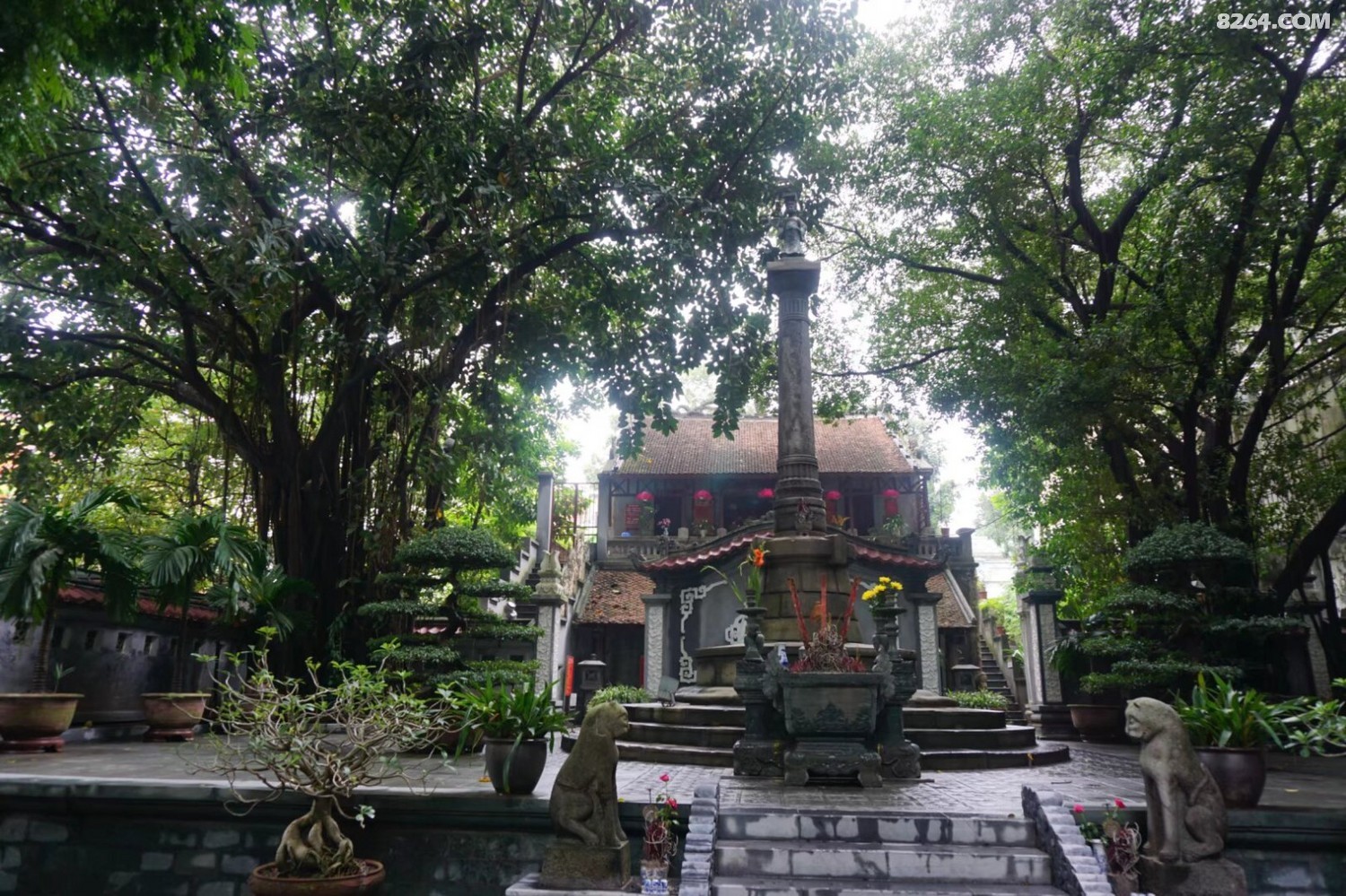 psb - 2024-12-19T193704.780.jpg