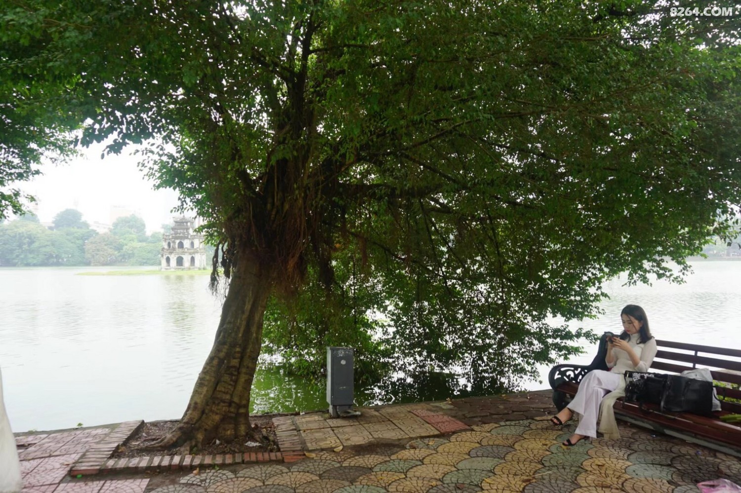 psb - 2024-12-19T193733.164.jpg