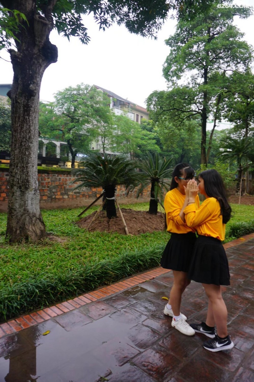 psb - 2024-12-19T194338.585.jpg