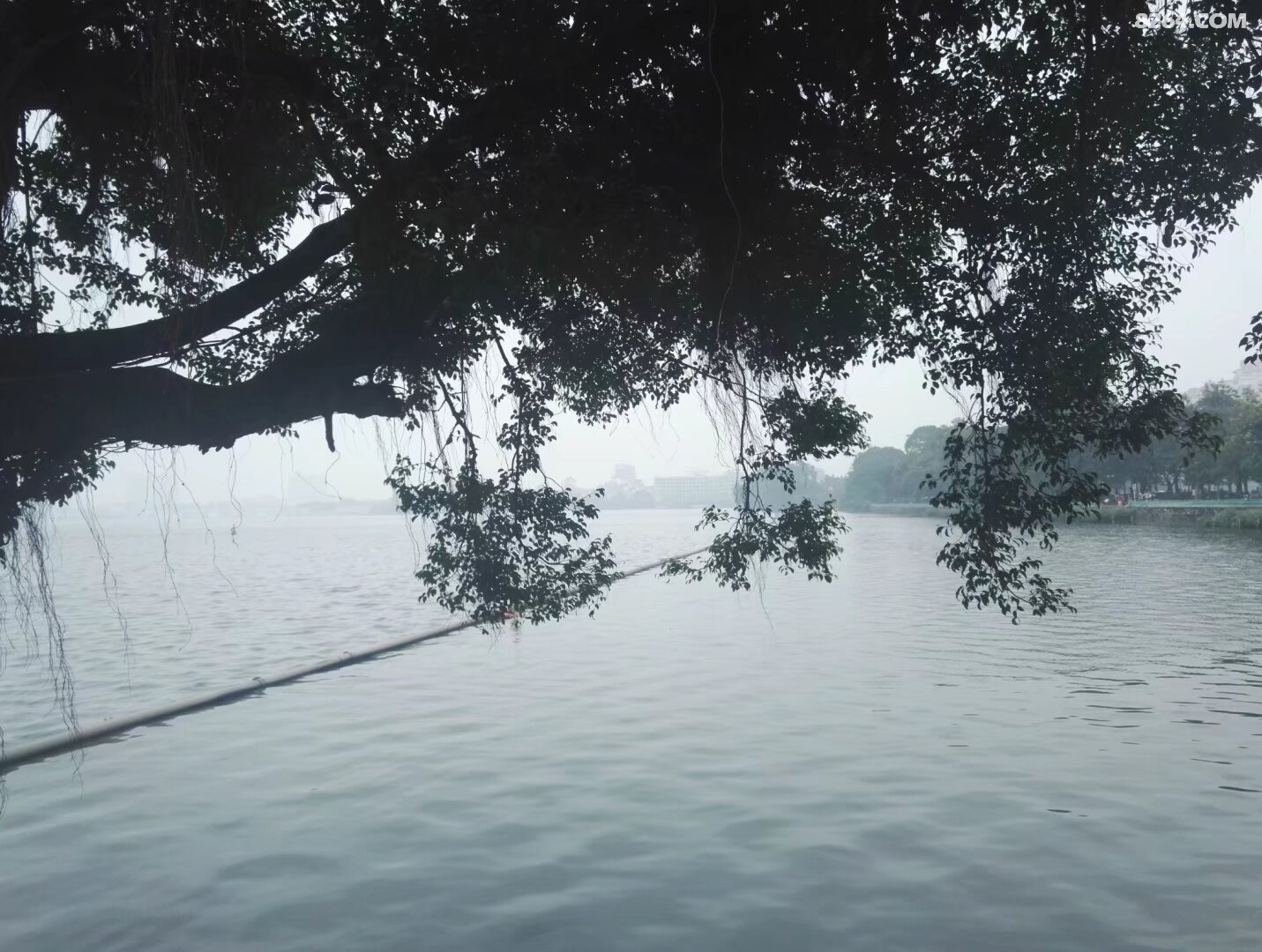 psb - 2024-12-19T200944.606.jpg