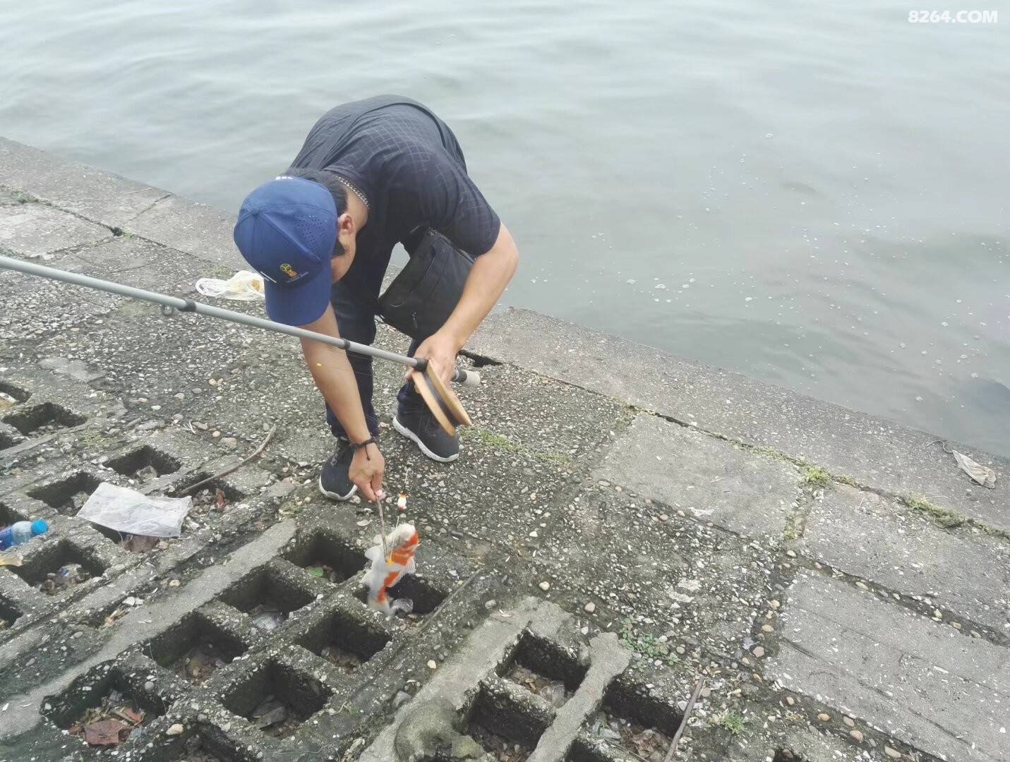 psb - 2024-12-19T201303.526.jpg