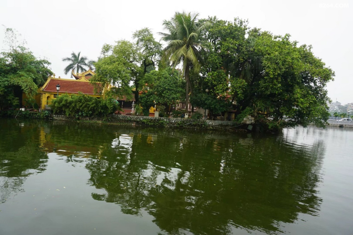 psb - 2024-12-19T202040.472.jpg