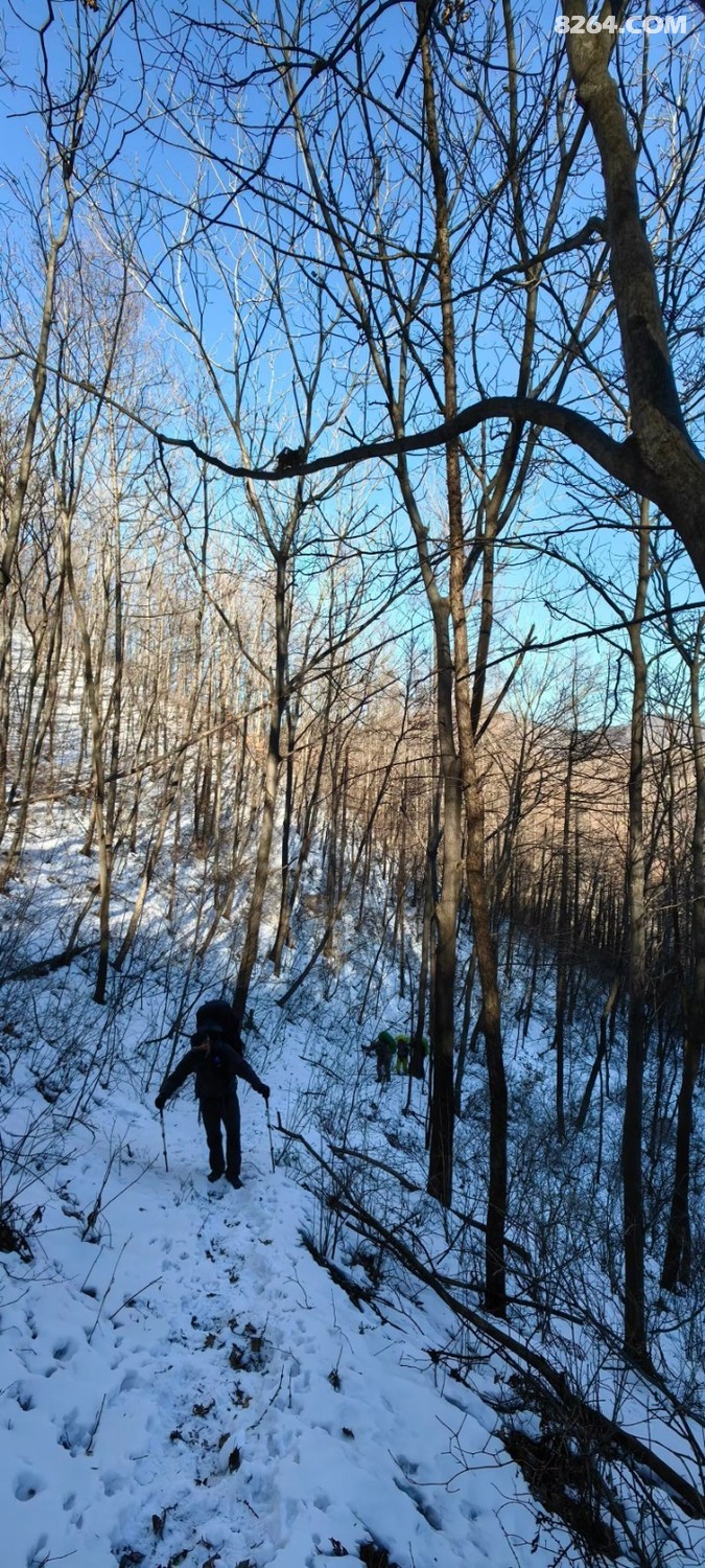 Image_20528858641803.jpg