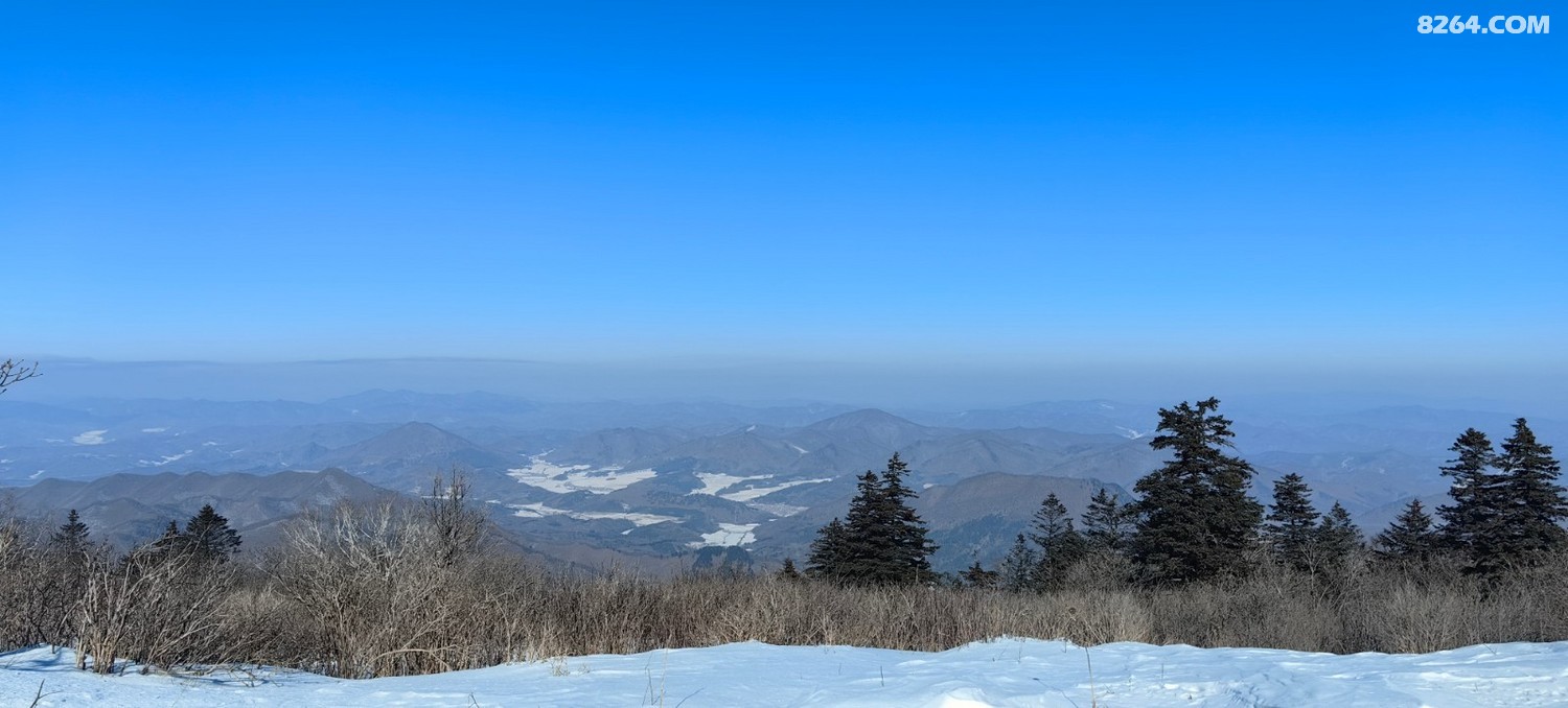 IMG_20250104_121213.jpg