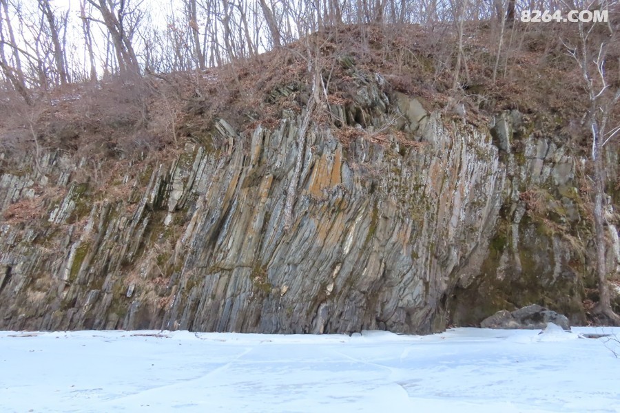 IMG_5200.jpg