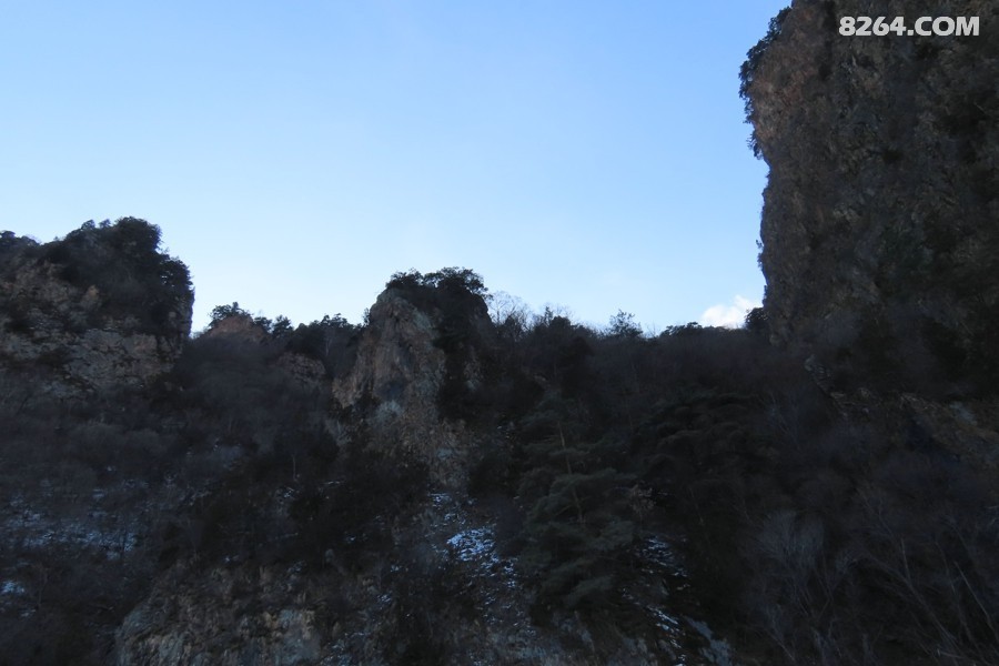 IMG_5300.jpg