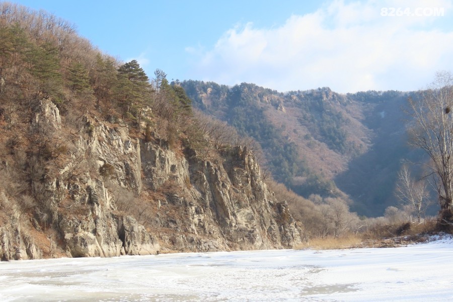 IMG_5464.jpg