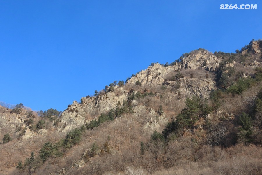 IMG_5505.jpg