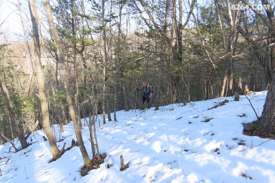 IMG_5865.jpg