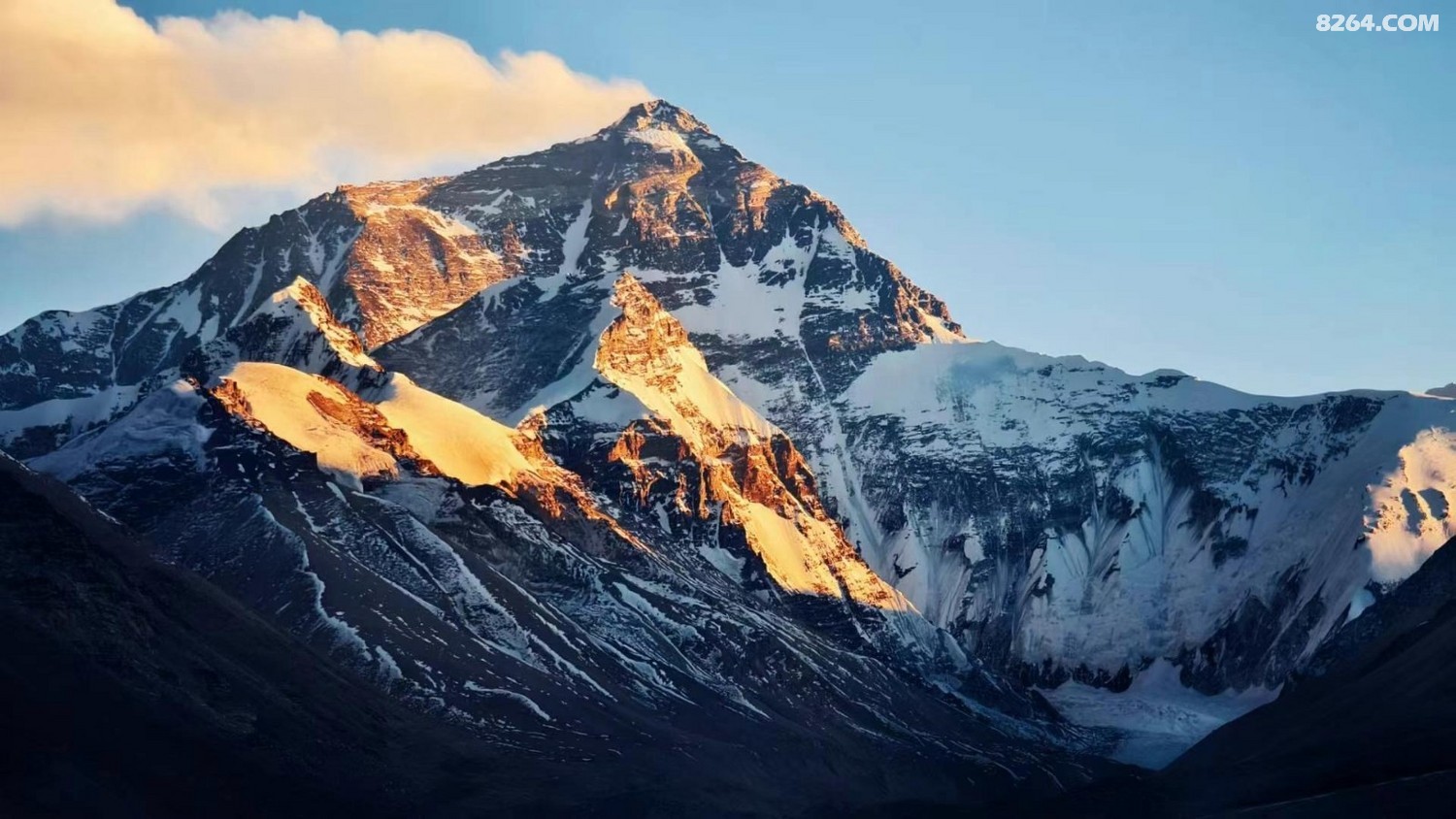 02191205_40.jpg
