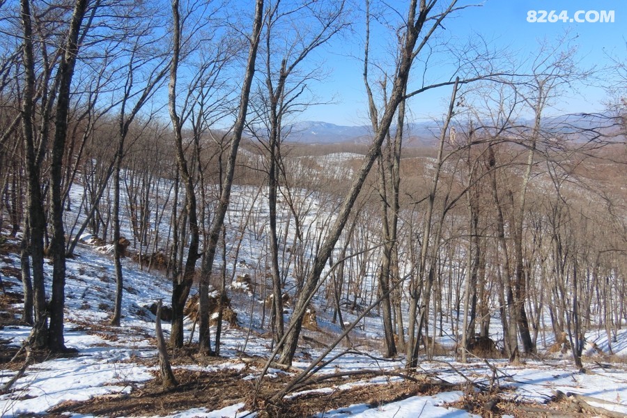 IMG_6004.jpg