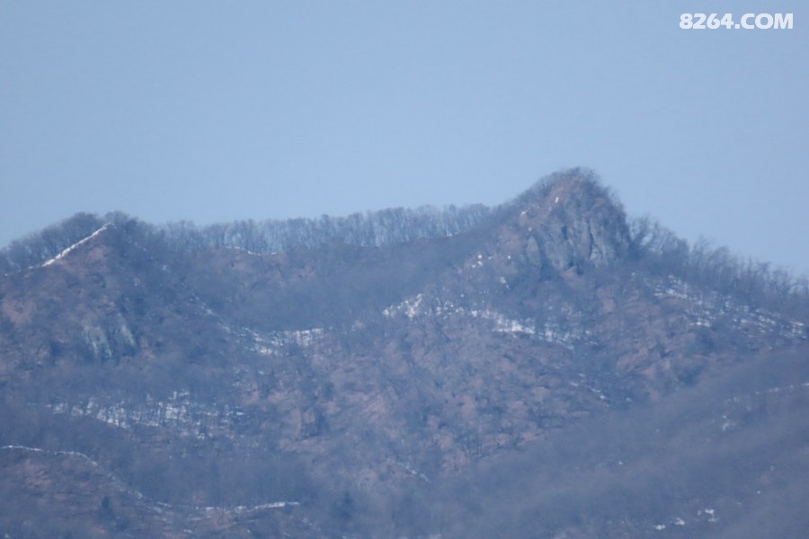 IMG_6013.jpg
