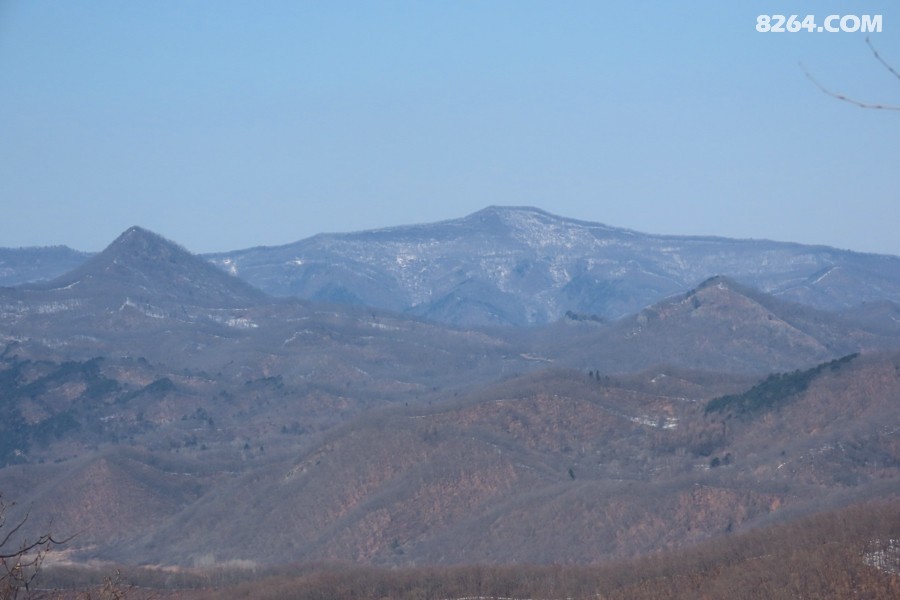 IMG_6018.jpg