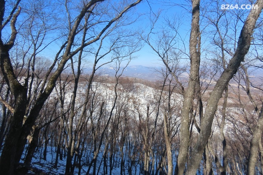 IMG_5980.jpg