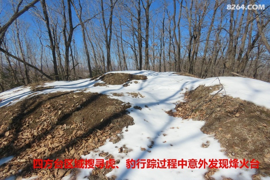 IMG_5993.jpg