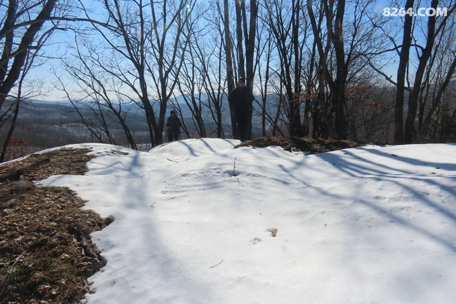 IMG_5994.jpg