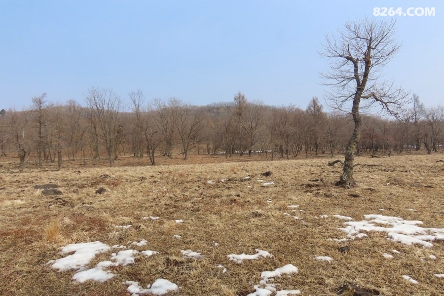 IMG_6242.jpg