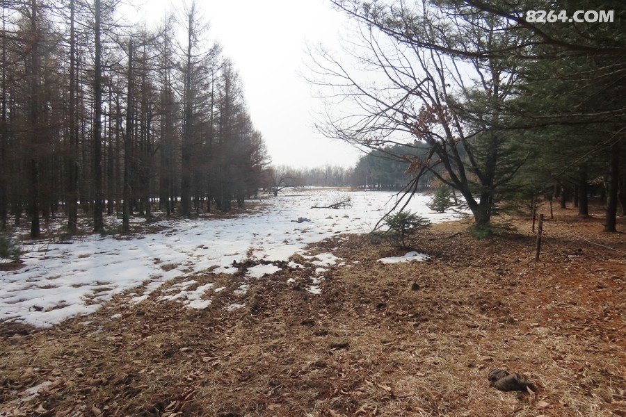 IMG_6212.jpg
