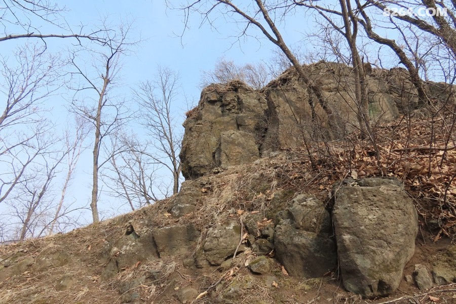 IMG_6234.jpg