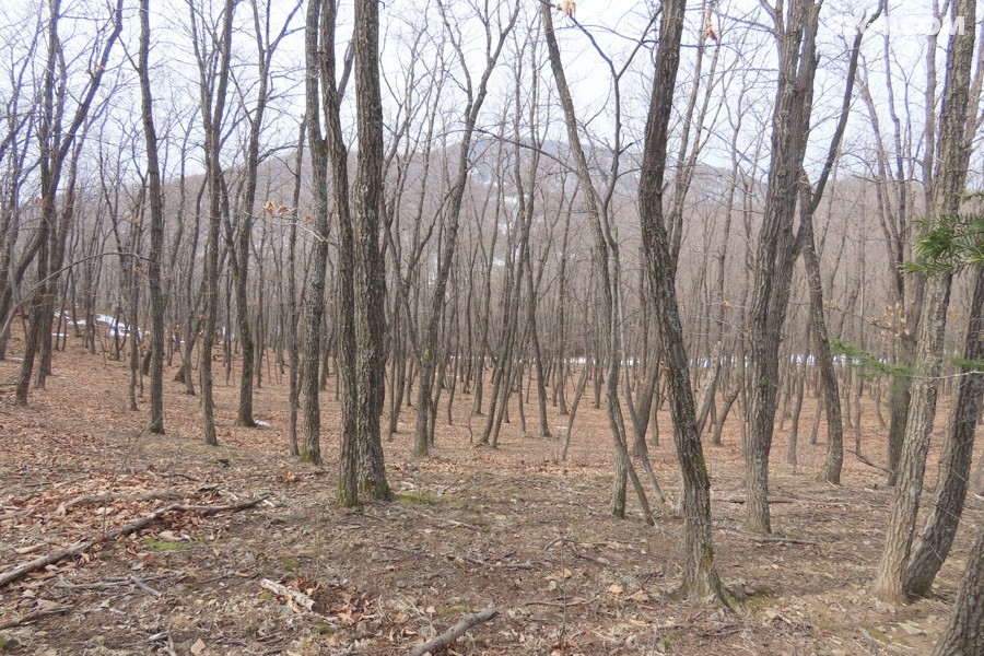 IMG_6332.jpg