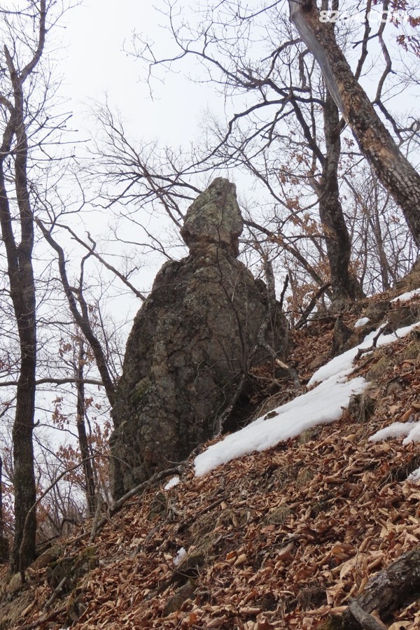 IMG_6352.jpg
