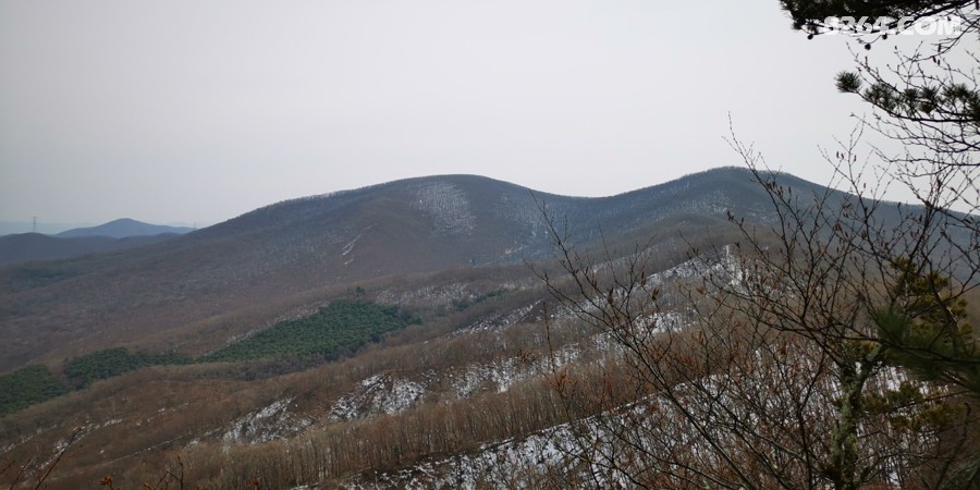 IMG_20250308_121947.jpg
