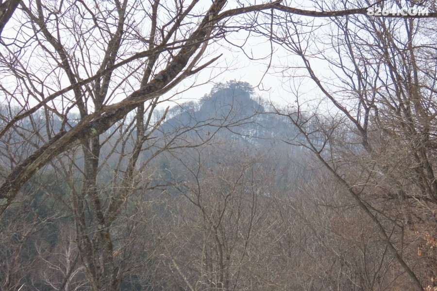 IMG_6449.jpg
