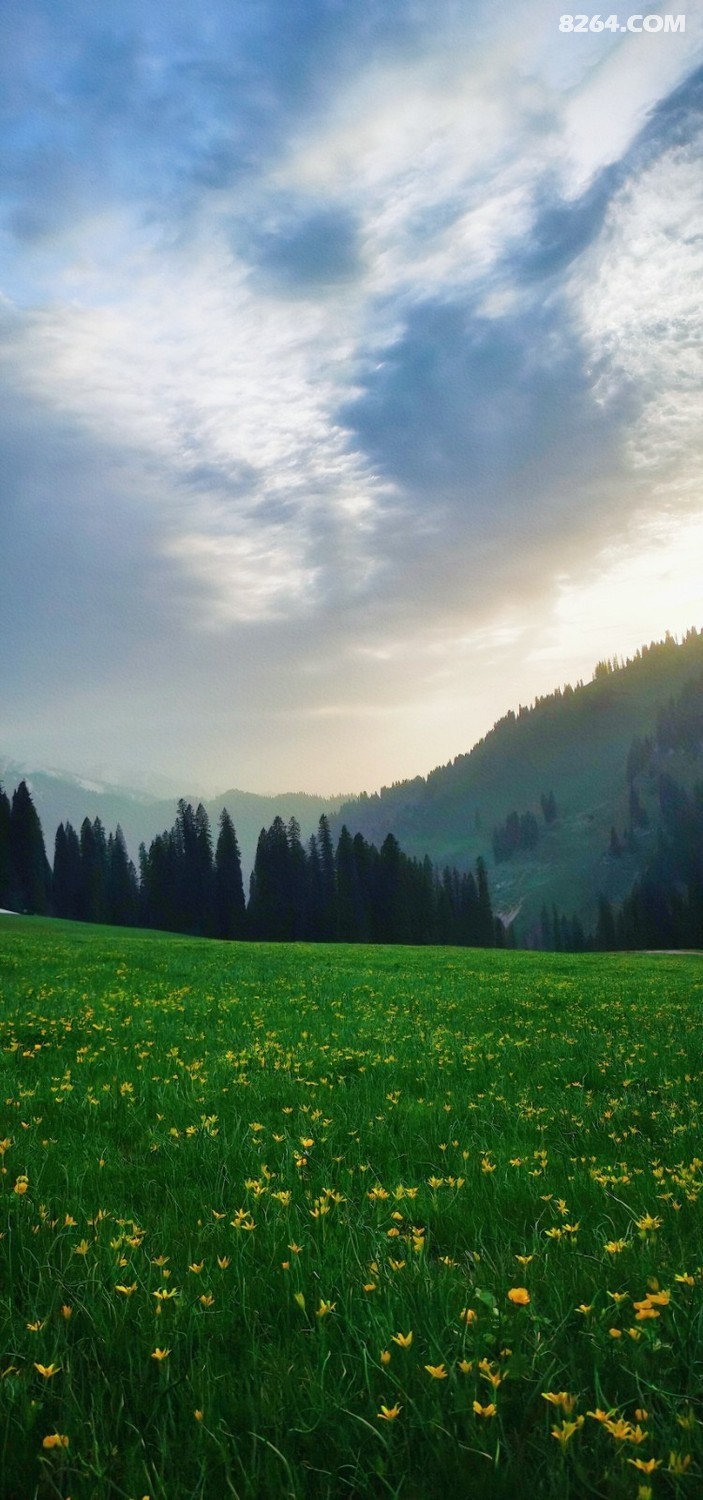 retouch_2023060400573202.jpg