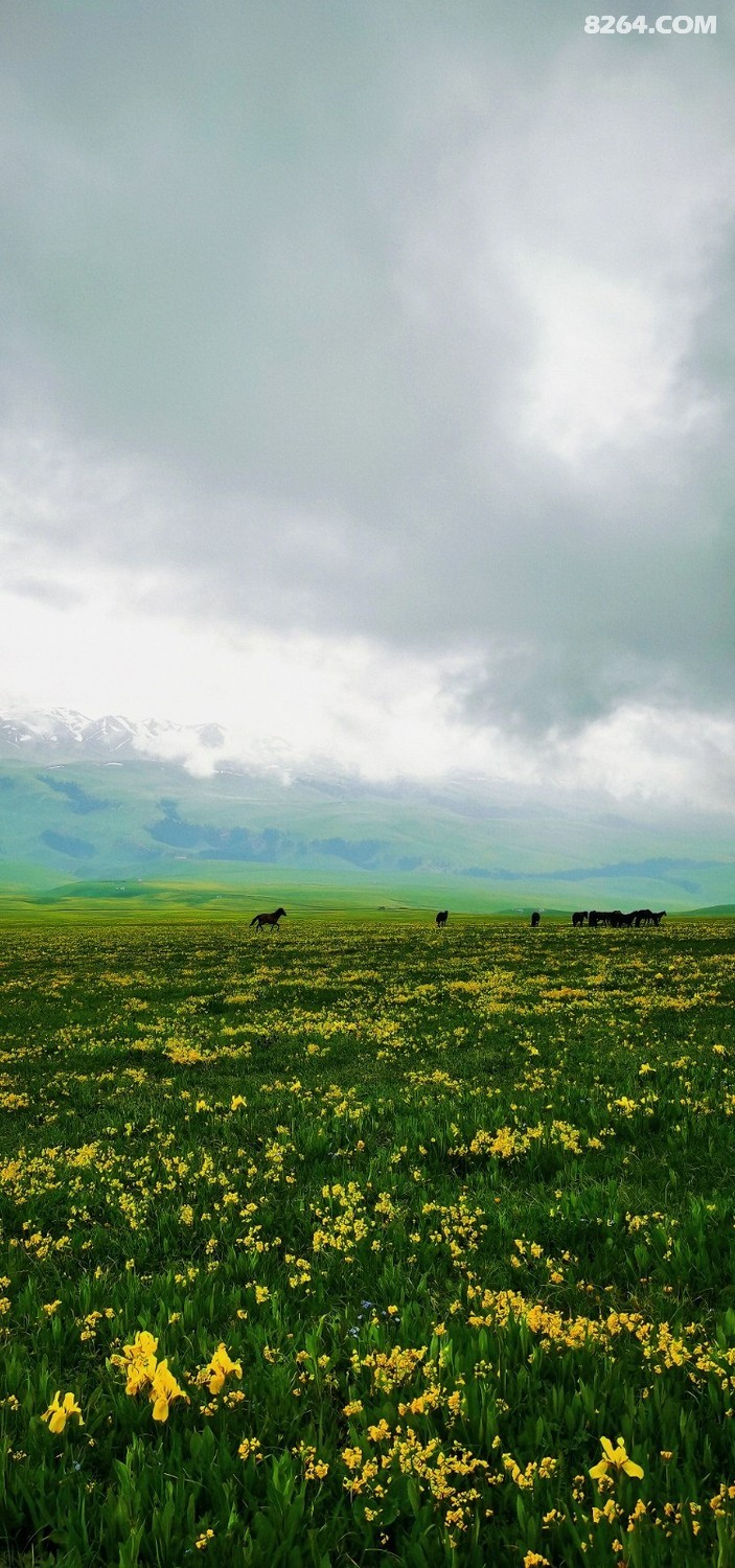 retouch_2024052100020148.jpg