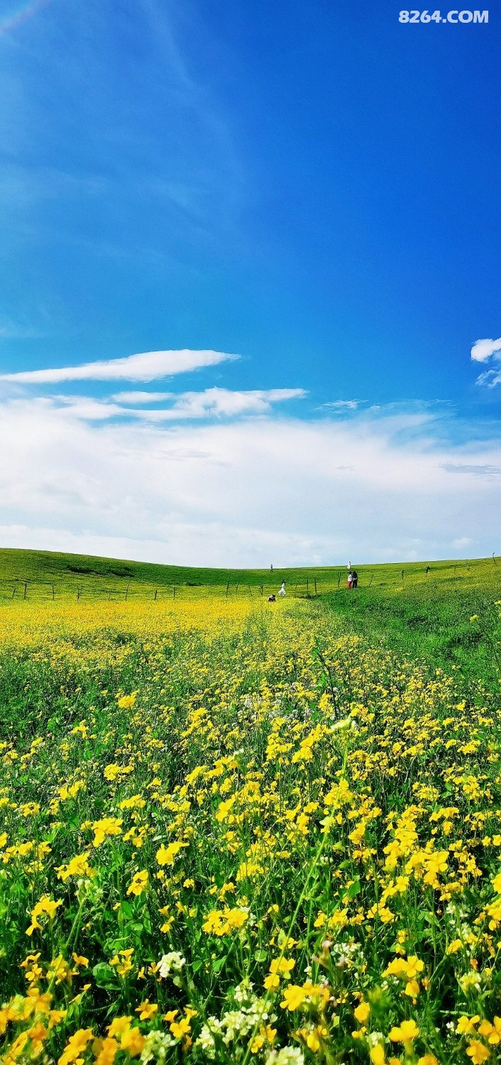 retouch_2024052223101097.jpg