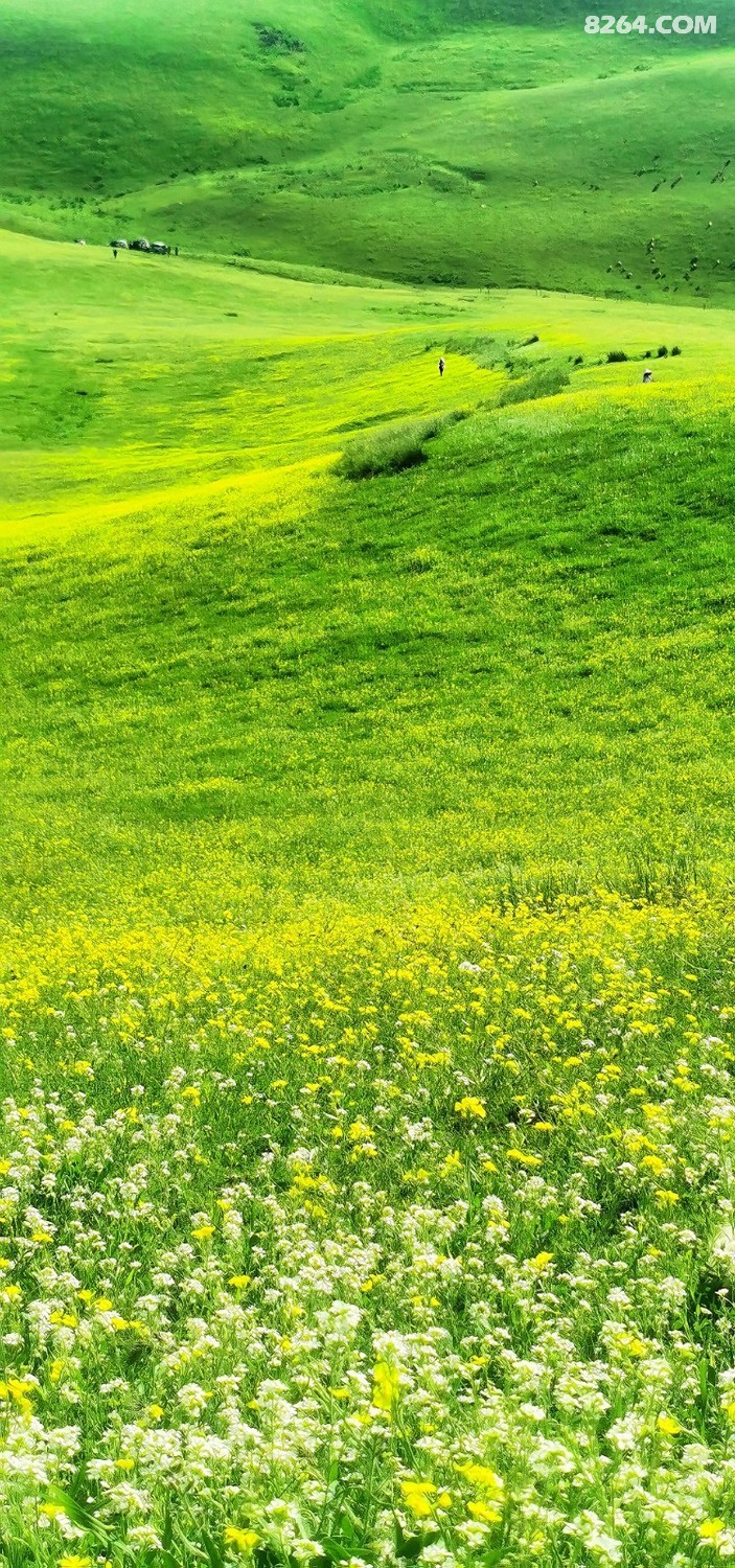 retouch_2024052223132988.jpg
