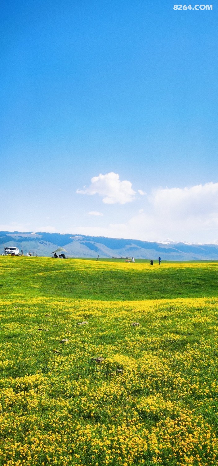 retouch_2023051018145294.jpg
