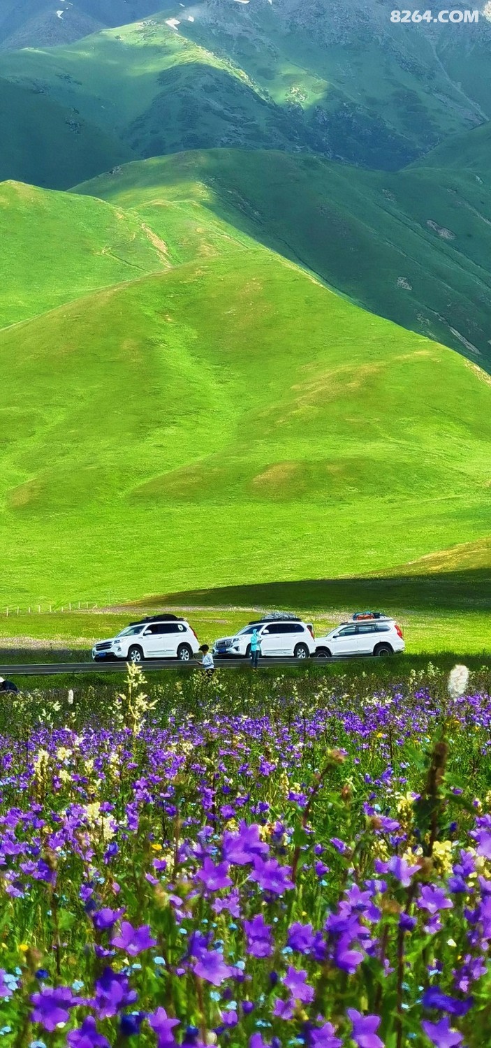 retouch_2024061719315687.jpg