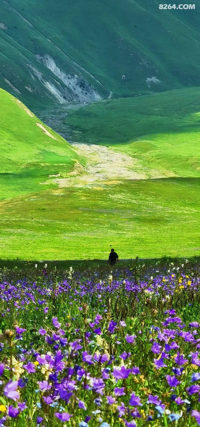 retouch_2024061719343620.jpg