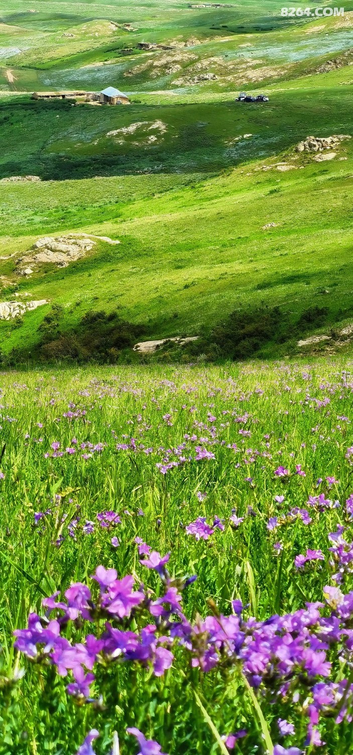 retouch_2024061420385780.jpg
