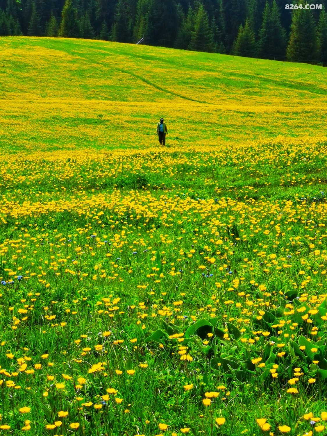 retouch_2022052600131733.jpg