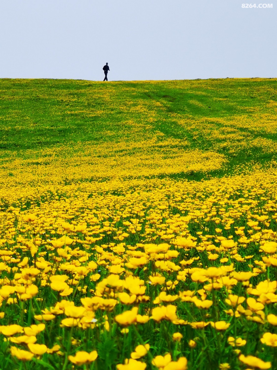 retouch_2022052600200674.jpg