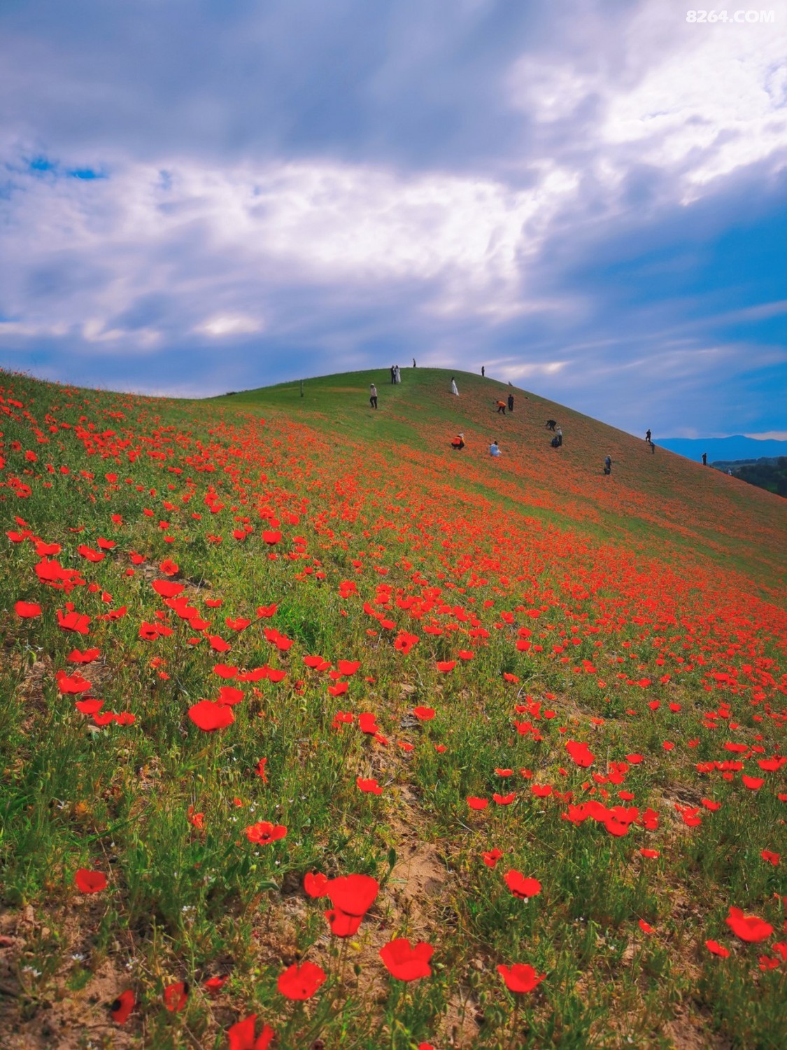 retouch_2021052014233027.jpg
