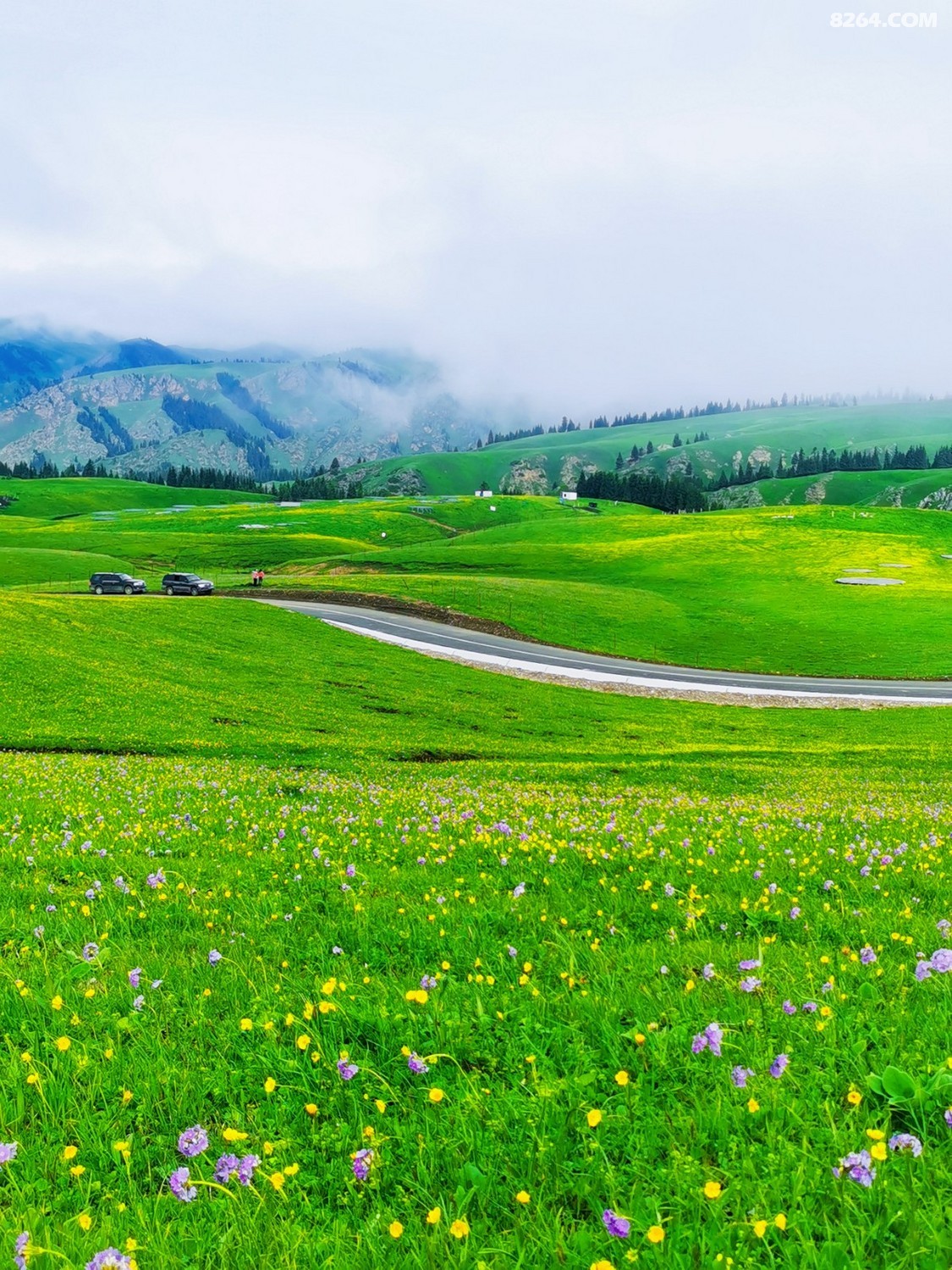 retouch_2022052402165213.jpg
