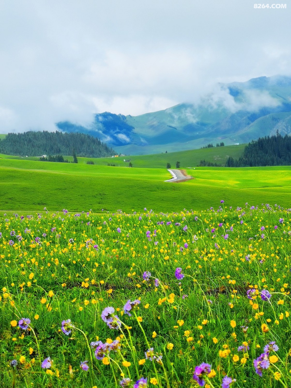 retouch_2022052402171500.jpg