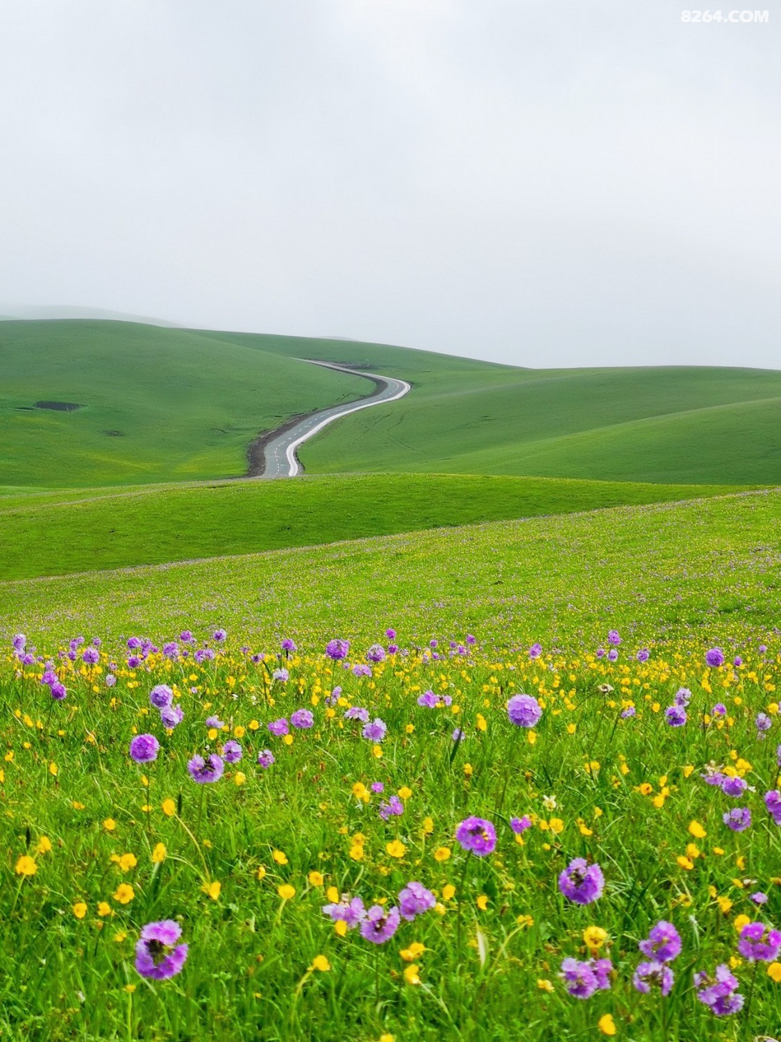retouch_2022052402201976.jpg