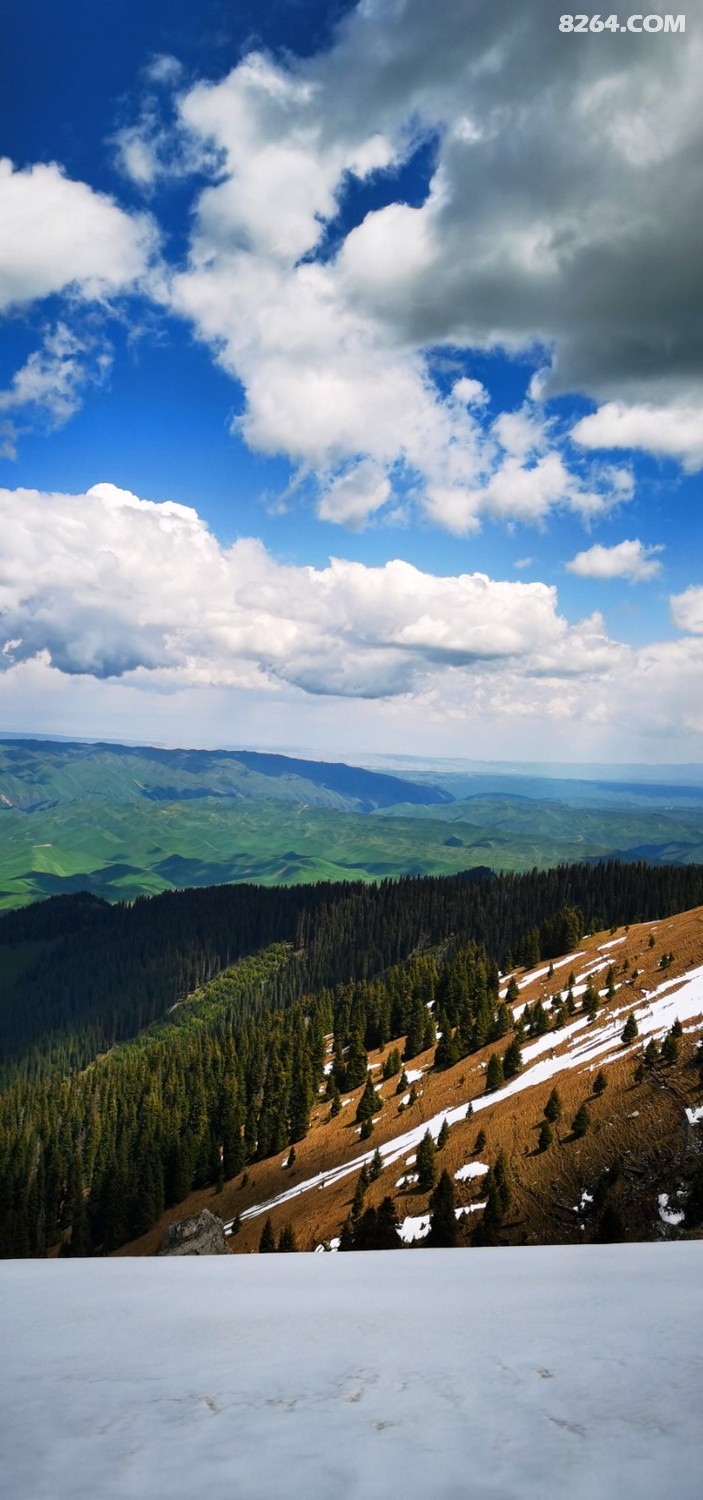 retouch_2023052716562568.jpg