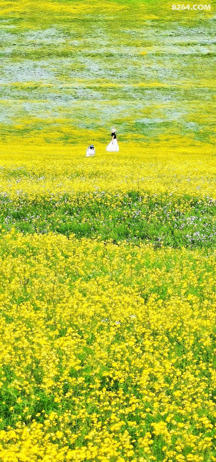 retouch_2024052522262615.jpg