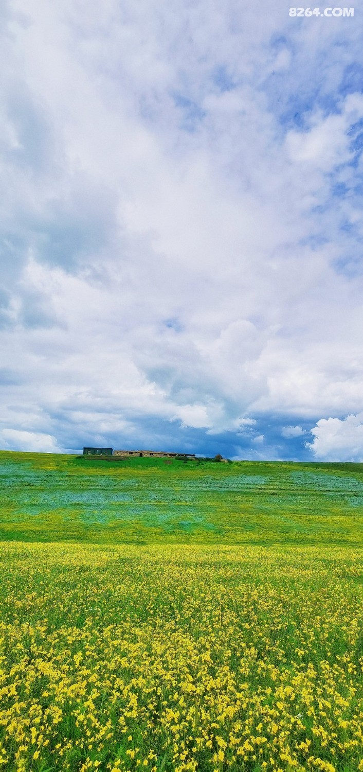 retouch_2024052522510974.jpg