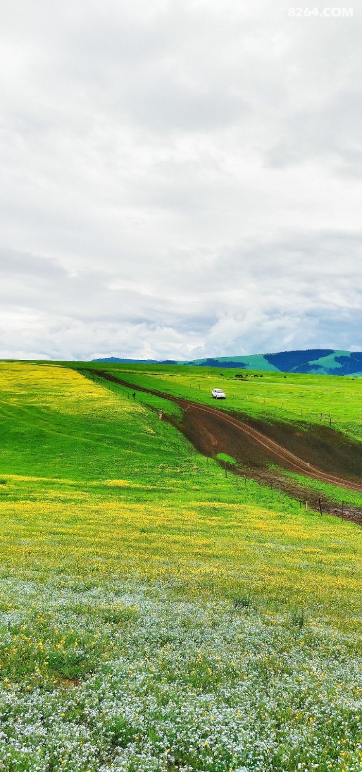 retouch_2024052523195584.jpg